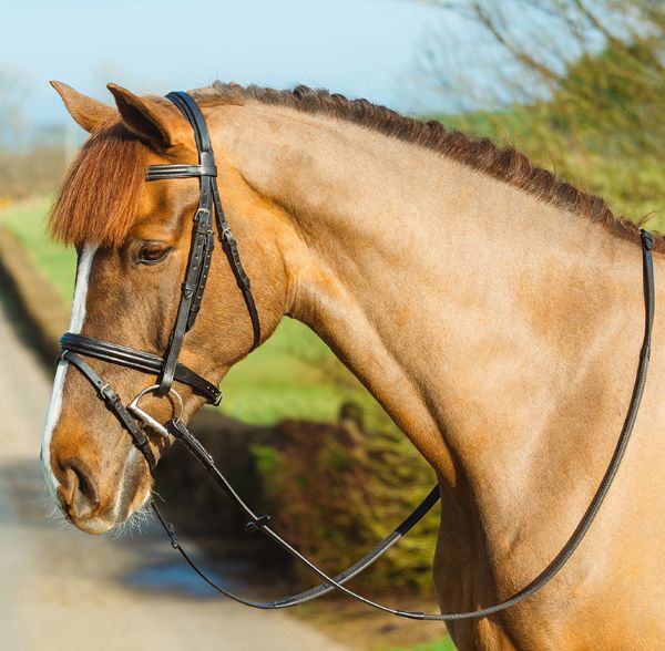 Picture of Mackey Classic Padded Flash Bridle - Cob - Black