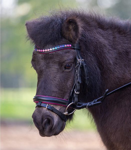 Picture of Star Bridle Pinky - Pony - Black