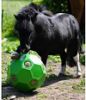 Picture of Happy Hay Play Ball - Horse - Green