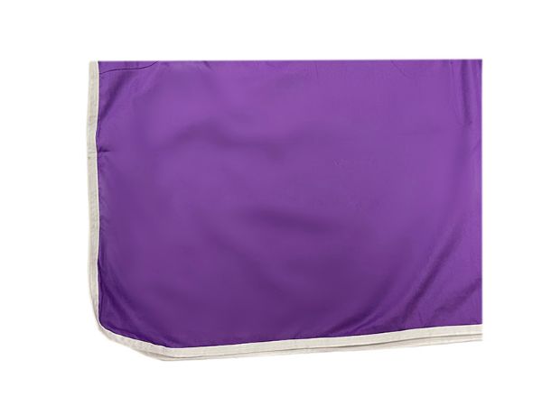 Picture of Branding Rug Purple/White Trim 5.6