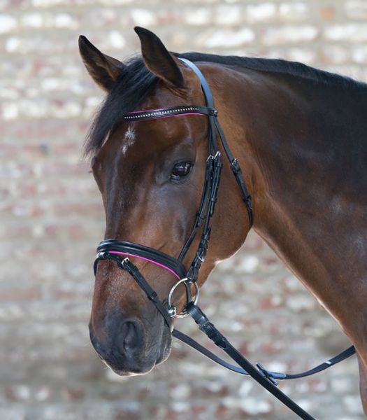 Picture of Star Diamond Bridle - Shetland - Pink