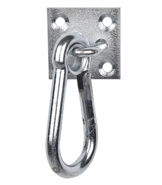 Picture of Carabiner hook on wall plate