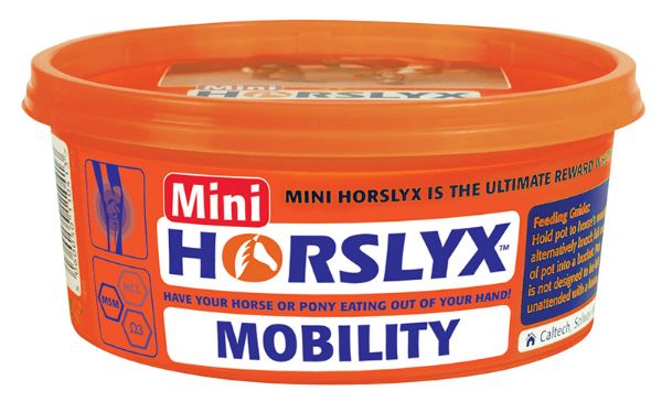 Picture of Horslyx Mobility Balancer Mini - 650g