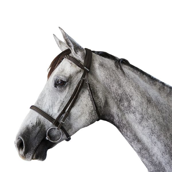 Picture of Wintec Bridle  - Brown - Cob