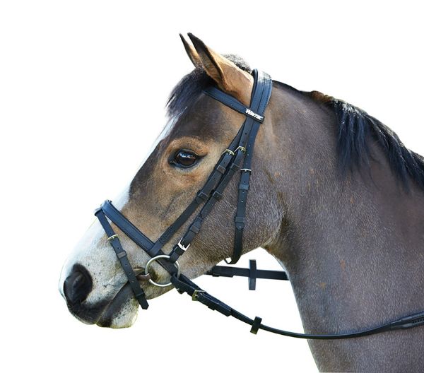 Picture of Wintec Bridle with Flash  - Black - Cob