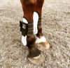 Picture of Majyk Equipe Infinity Tendon Jump Boots Full - White