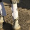 Picture of Majyk Equipe Sport/Dressage Boot White - Large