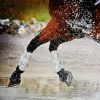 Picture of MAJYK EQUIPE® XC Elite Front Boots Diamond White - Small
