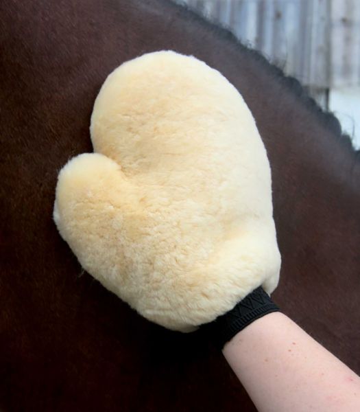 Picture of Lambskin Grooming Glove