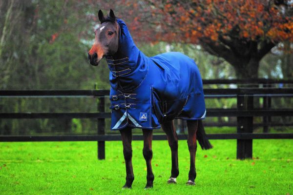 Picture of Wicklow Heavy Turnout Rug 125cm/5'9"