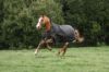 Picture of Lugnaquilla Semi High Neck Heavyweight Turnout Rug 120cm/5'6" 