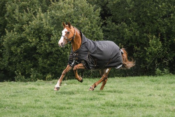 Picture of Lugnaquilla Semi High Neck Heavyweight Turnout Rug 120cm/5'6" 