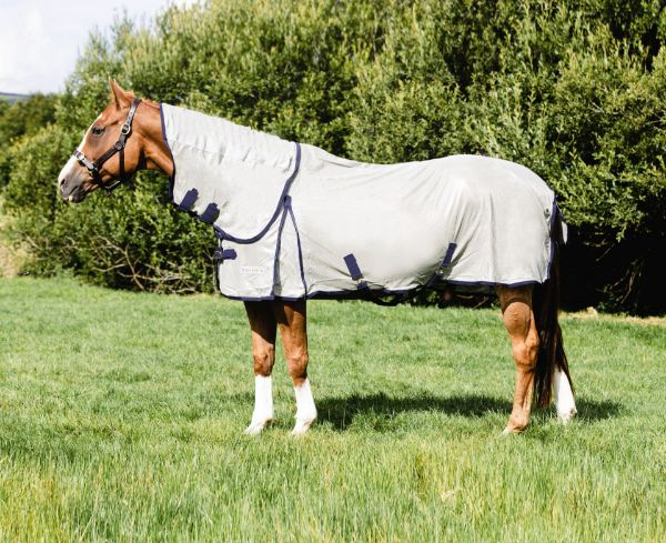 Picture of Equi-sential Fly Rug - 160cm/7'0"