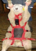 Picture of Matingmark No Mate Harness Attachment
