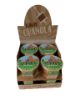 Picture of Likit Granola Refill - Apple