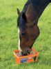 Picture of Horslyx Mobility Balancer - 15kg