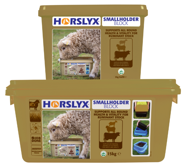 Picture of Horslyx Smallholder Block - 15kg