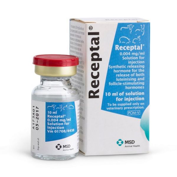 Picture of Receptal - 10ml
