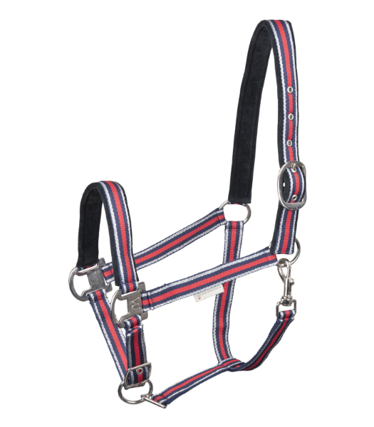 Picture of Shine Halter - Pony  - Red/Silver