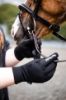 Picture of Equi-sential Breton Gloves - X-Small