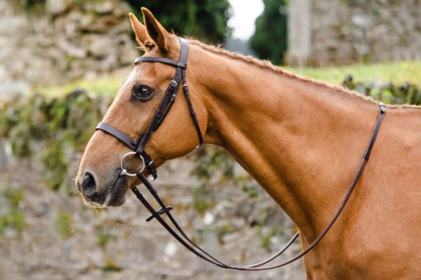 Picture of Mackey Classic Hunt Bridle - Full - Brown