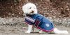 Picture of Mackey Buster Dog Coat - 35cm