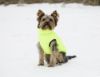 Picture of Charmonix Quilted Dog Jacket - 30cm