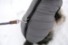 Picture of Charmonix Quilted Dog Jacket - 35cm 