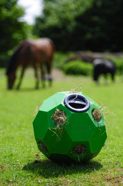 Picture of Happy Hay Play Ball - Pony - Green