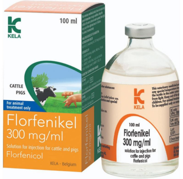 Picture of FLORFENIKEL 300 mg/ml solution for injection for cattle and pigs