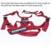 Picture of Matingmark Deluxe Ram Harness -  XL