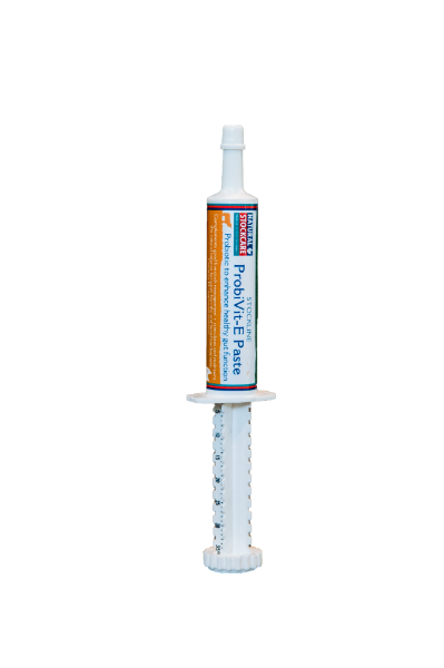 Picture of Probivit - E Paste  30Grm Syringe