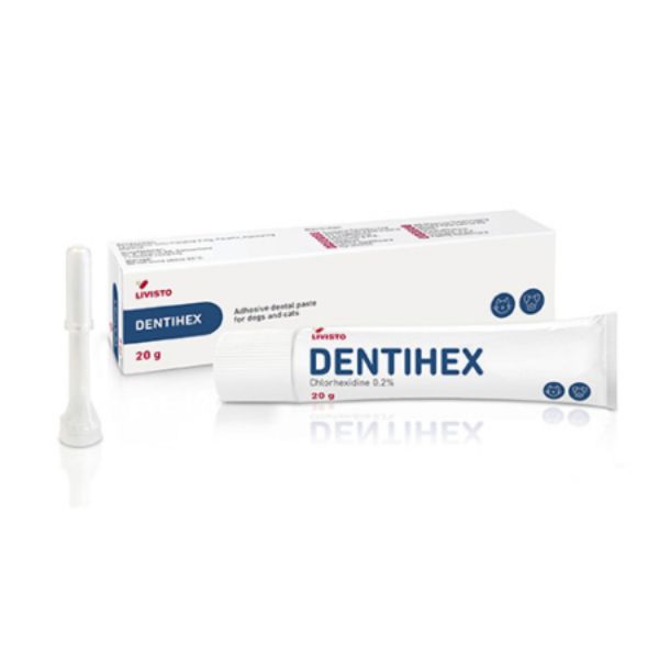 Picture of Dentihex - 20g